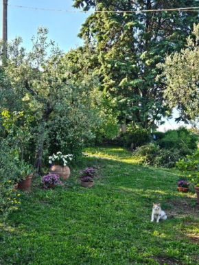 Il casaletto di Simeone Amelia